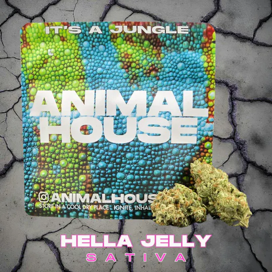 Animal House - Animal House | Hella Jelly | Big Buds | 3.5g - 1