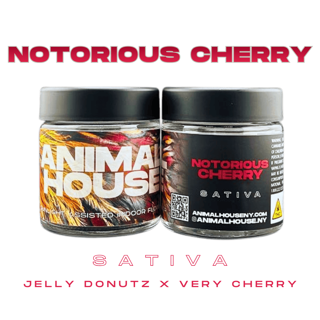 Animal House - Animal House | Notorious Cherry | Big Buds | 3.5g - 1
