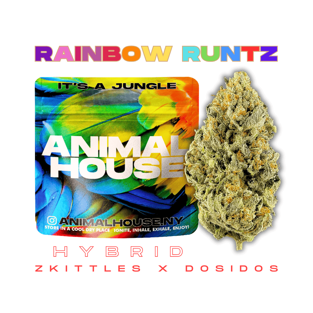 Animal House - Animal House | Rainbow Runtz | Big Buds | 3.5g - 1