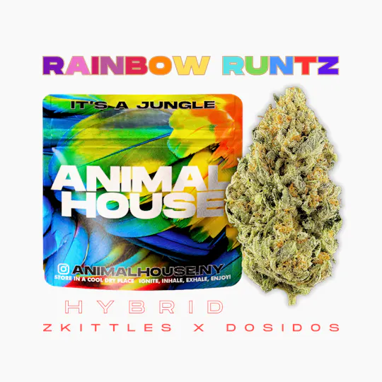 Animal House - Animal House | Rainbow Runtz | Big Buds | 3.5g - 1