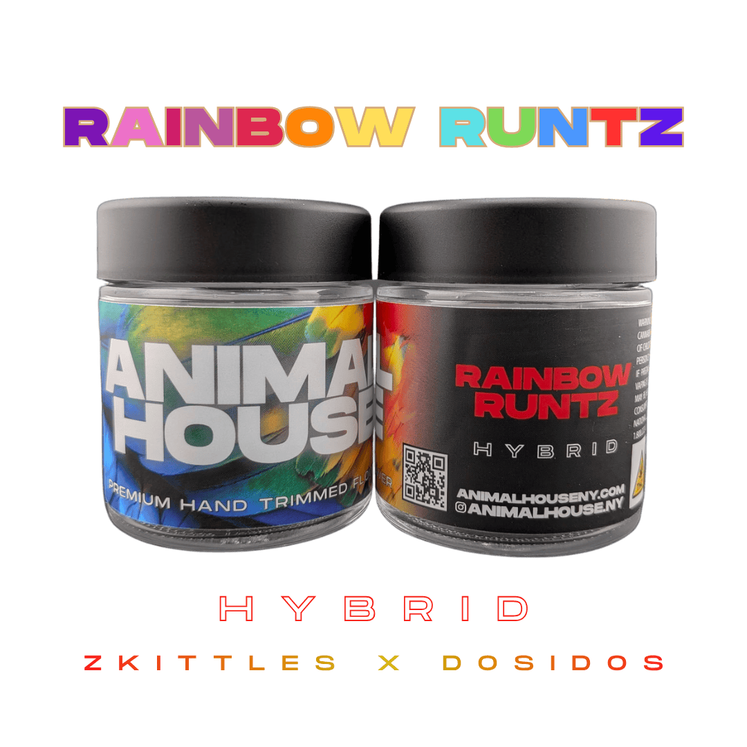Animal House - Animal House | Rainbow Runtz | Big Buds | 3.5g - 1