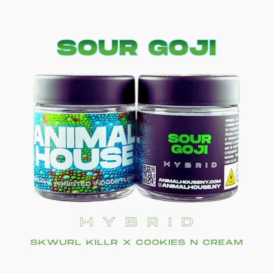 Animal House - Animal House | Sour Goji | Big Buds | 3.5g - 1