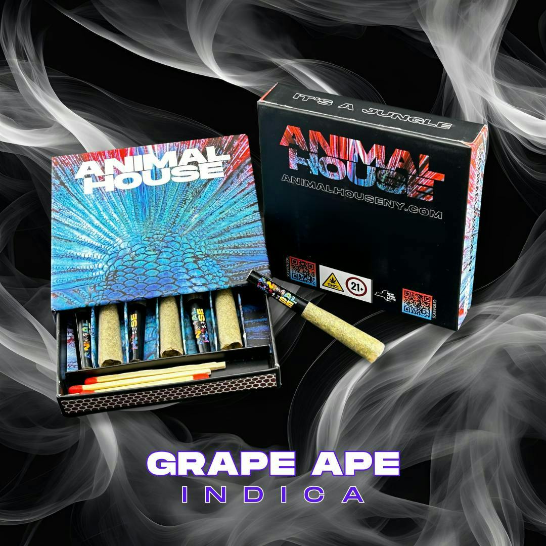 Animal House - Animal House | Grape Ape| Infused Minis | 0.5g each | 7pk - 1