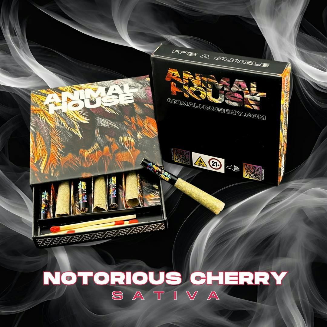Animal House - Animal House | Notorious Cherry | Infused Minis | 0.5g each | 7pk - 1