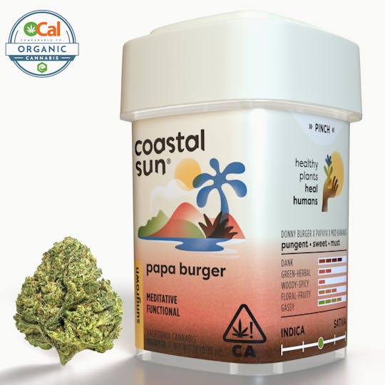 Coastal Sun - Papa Burger Sungrown Flower 7g - 1