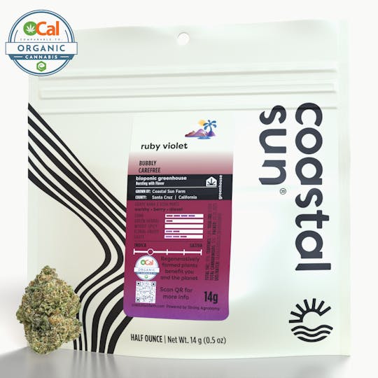 Coastal Sun - Ruby Violet Greenhouse Flower 14g - 1