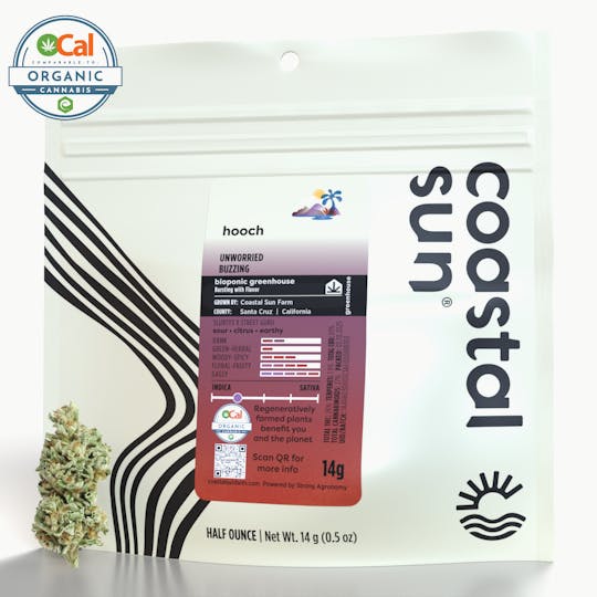 Coastal Sun - Hooch Greenhouse Flower 14g - 1