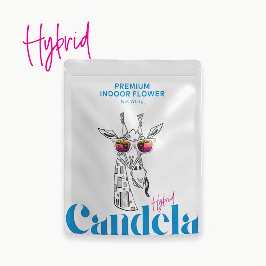 Candela - Candela White Devil 1G Prepack - 1