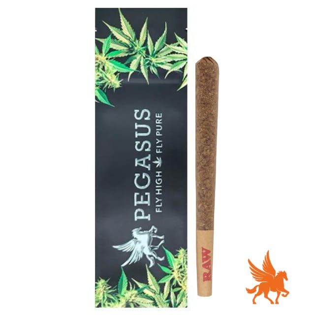 Pegasus Green - Preroll | 1G Cactus Breath - 1