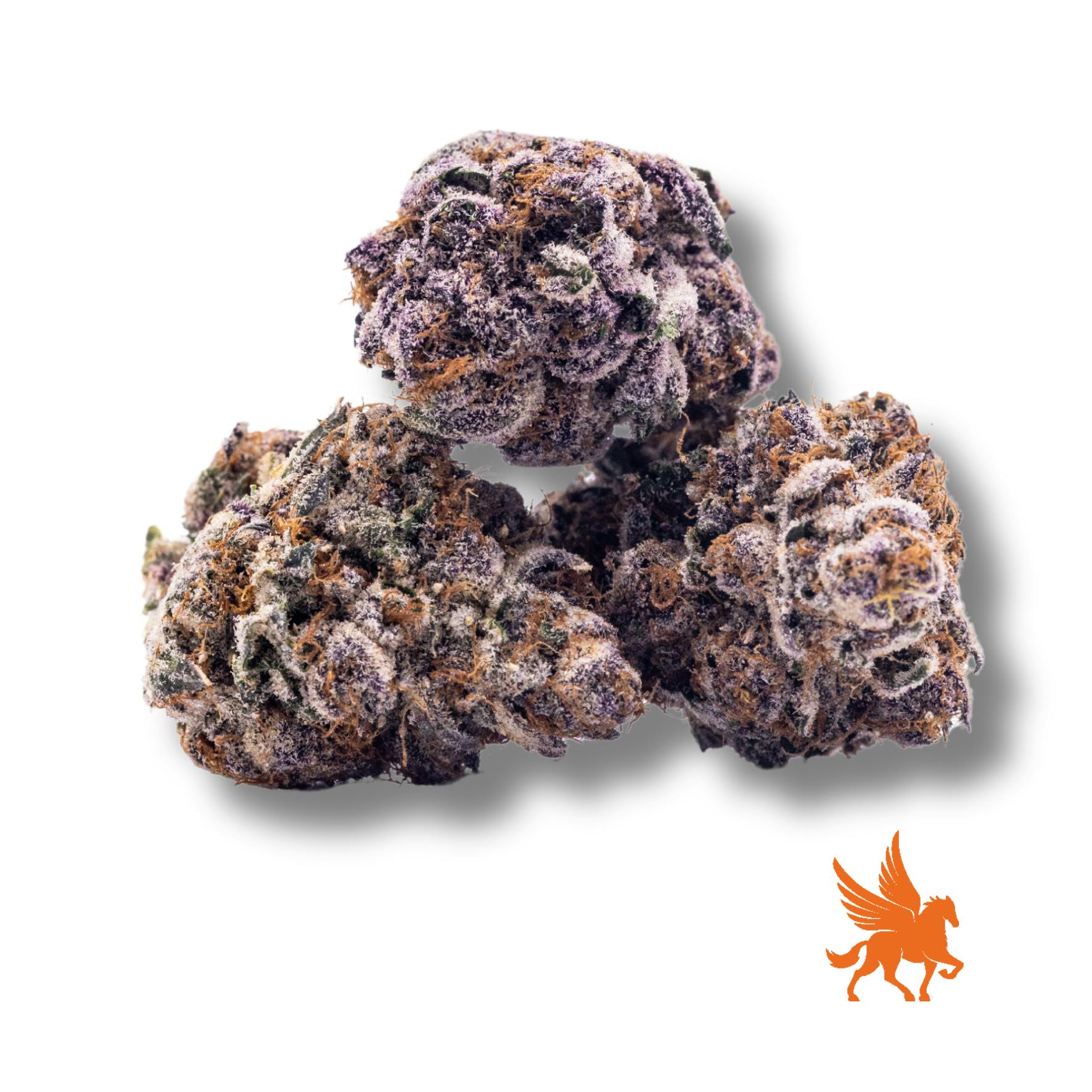 Pegasus Green - Dark Queen - 1