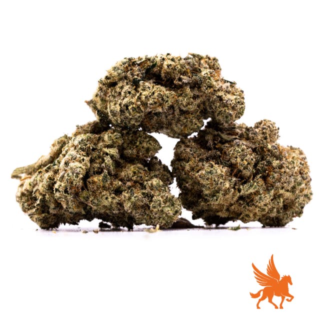 Pegasus Green - MAC V2 - 1