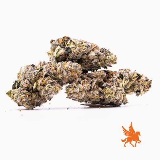 Pegasus Green - Bannanaconda - 1