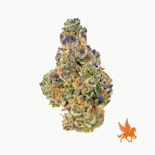 Pegasus Green - Global Trotter - 1