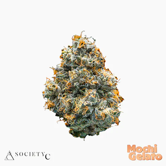 Society C - Society C | Mochi Gelato | Big Buds | 3.5g - 1