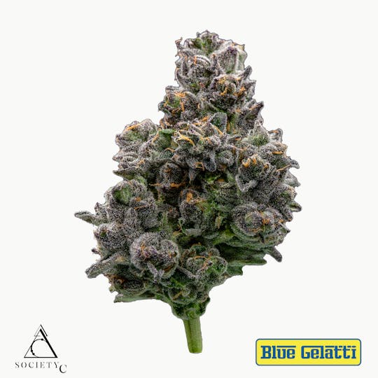Society C - Society C - Blue Gelatti - 1
