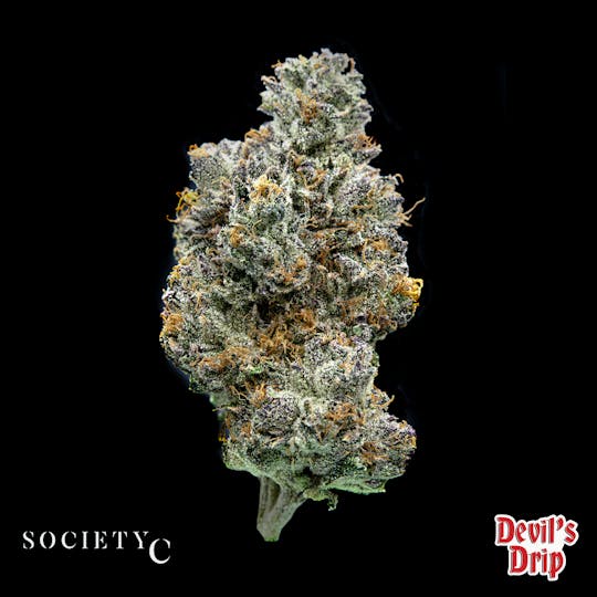 Society C - Society C - Devil's Drip - 1