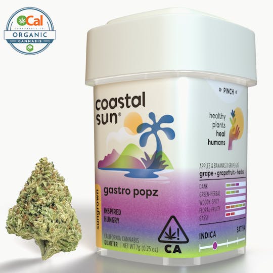 Coastal Sun - Gastro Popz Sungrown Flower 7g - 1