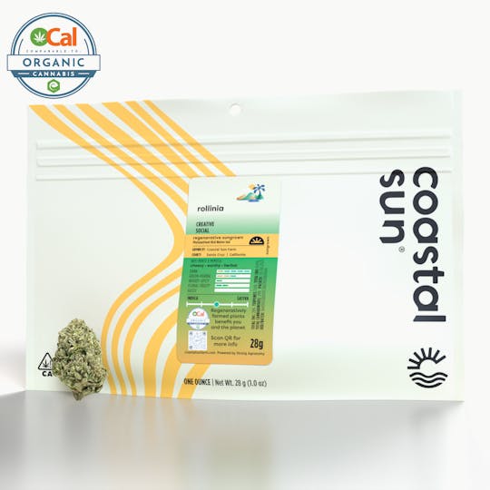 Coastal Sun - Rollinia Sungrown Flower 28g - 1
