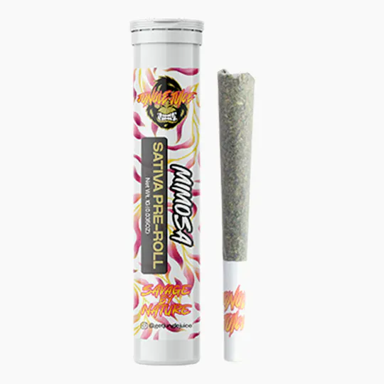 Jungle Juice - Jungle Juice | Mimosa | Joint | 1g - 1