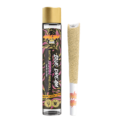 Jungle Juice - Jungle Juice - Blue Dream - 1g Infused Pre-Roll - 1