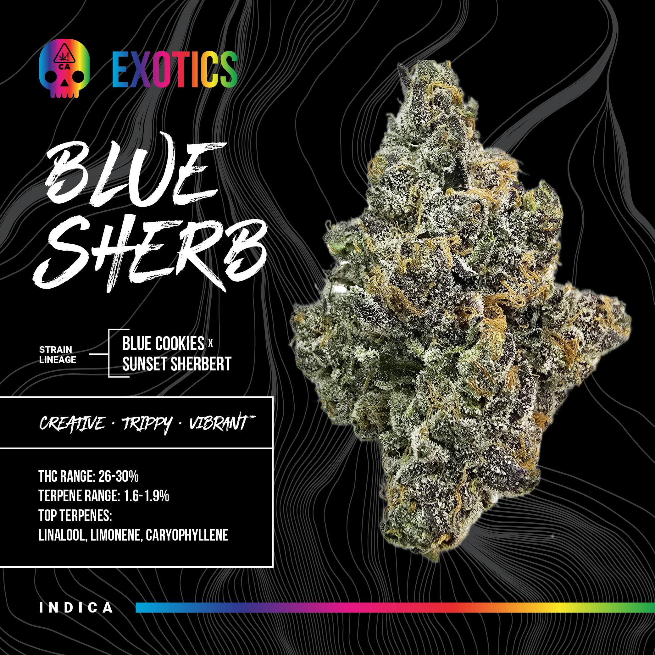 Bosky Genetics - BOSKY | Blue Sherb | Big Buds | 14g - 1