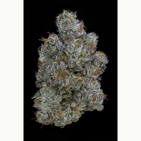 AETHER FIELDS - ZHABU ZHABU // PREMIUM INDOOR - 3.5G - 1
