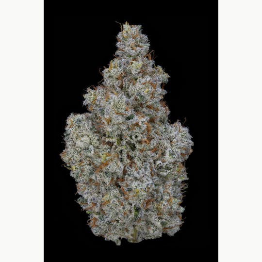 AETHER FIELDS - MINTERSTELLAR COOKIES // PREMIUM INDOOR - 3.5G - 1