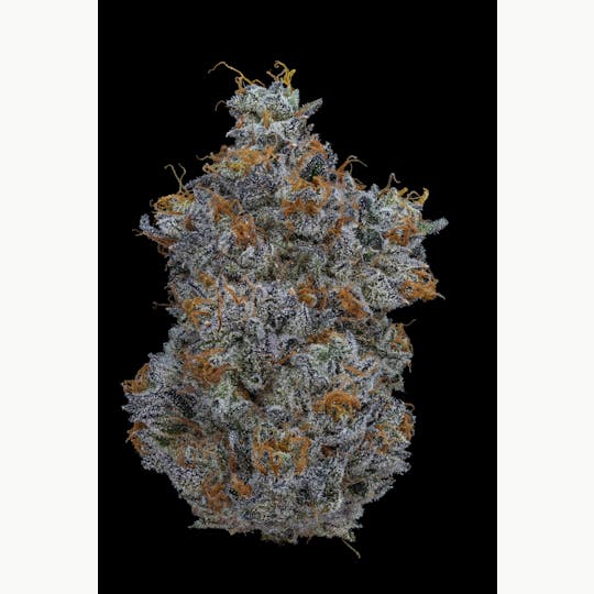 AETHER FIELDS - DAVID BOLOWIE // PREMIUM INDOOR - 3.5G - 1