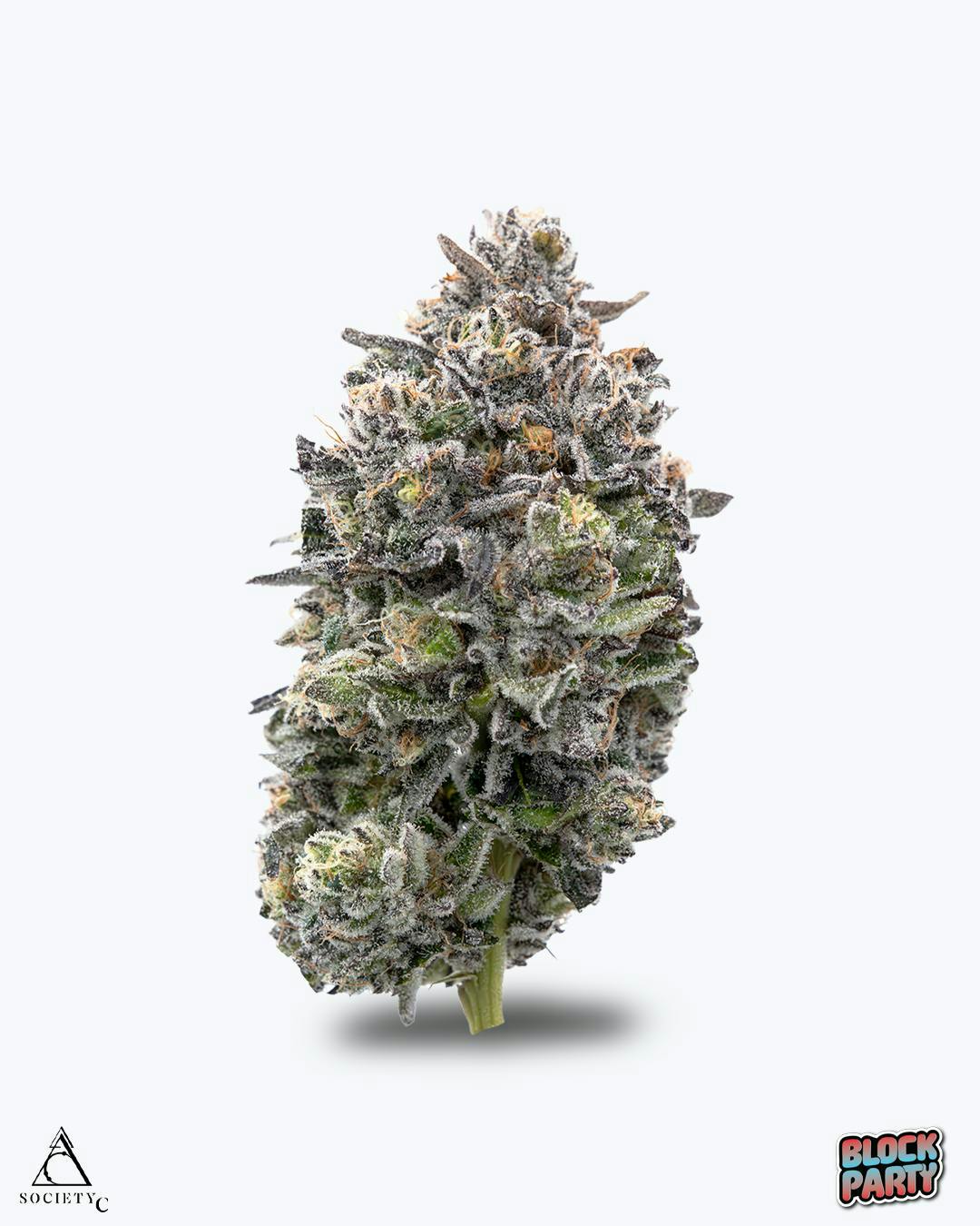 Society C - Society C | Block Party | Big Buds | 3.5g - 1
