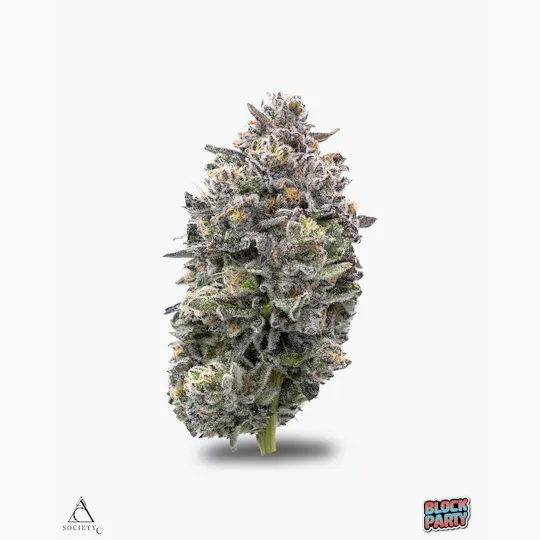 Society C - Society C | Block Party | Big Buds | 3.5g - 1
