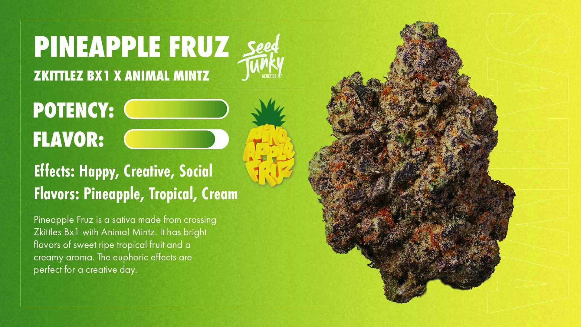 Seed Junky - Pineapple Fruz | Minis | 0.5g each | 7pk - 1
