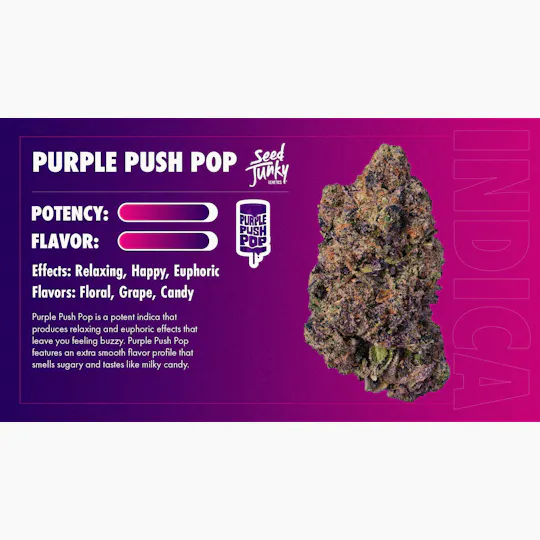 Seed Junky - Purple Push Pop | Minis | 0.5g each | 7pk - 1