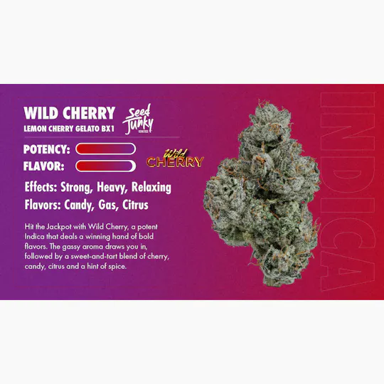 Seed Junky - Wild Cherry | Minis | 0.5g each | 7pk - 1