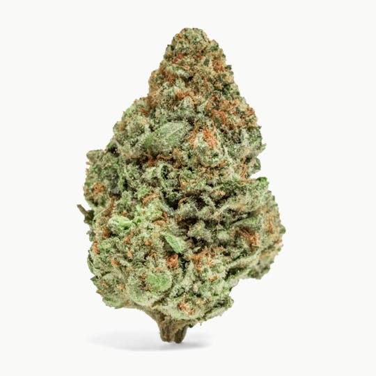 MR. ZIPS - MR. ZIPS | Neon Drip | 3.5g Flower - 1