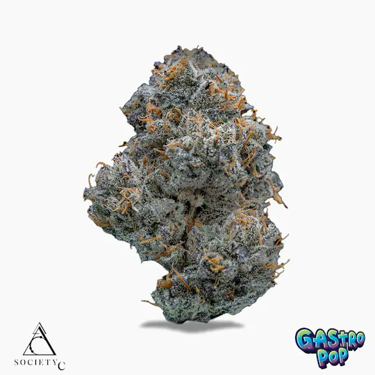 Society C - Society C | Gastro Pop | Smalls | 28g - 1