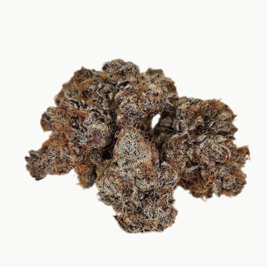 Freedom Road - Gelato Biscotti - 1