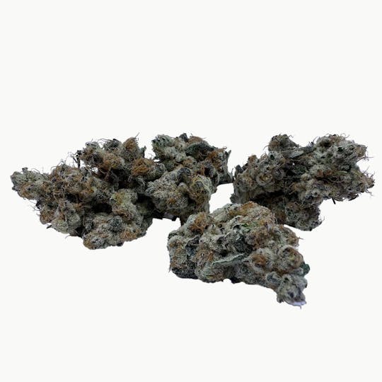 Freedom Road - Daily Grape - 1