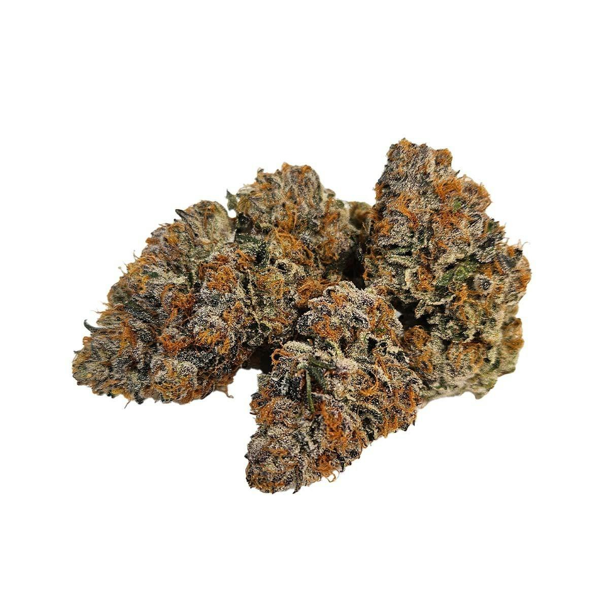 Freedom Road - Gummy Buns - 1