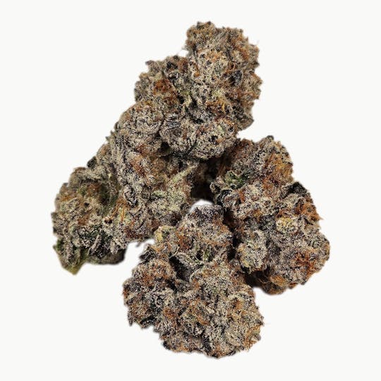 Freedom Road - Kush Mintz - 1