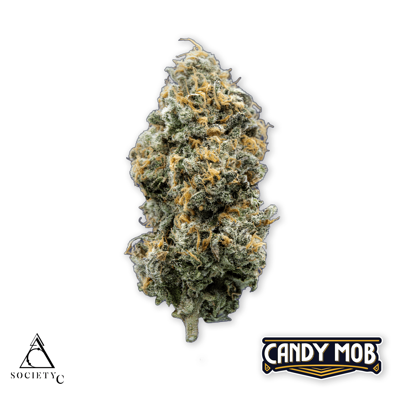 Society C - Society C | Candy Mob | Big Buds | 3.5g - 1