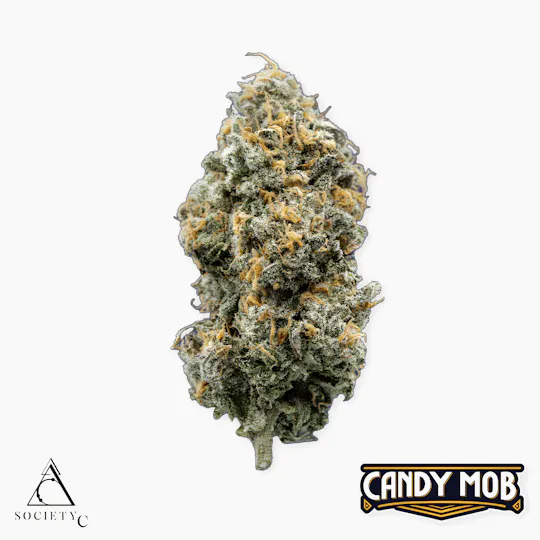 Society C - Society C | Candy Mob | Big Buds | 3.5g - 1