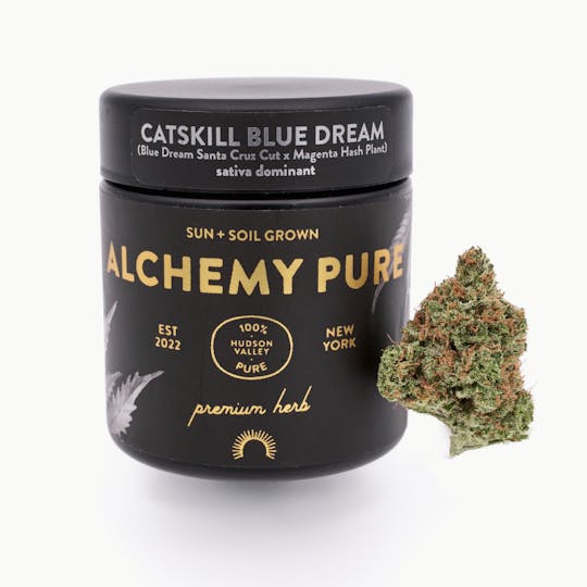 Alchemy Pure - Catskill Blue Dream 3.5g Jar - 1