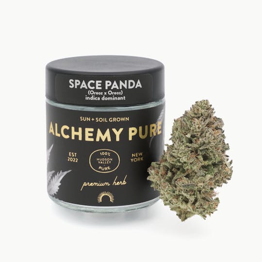 Alchemy Pure - Space Panda 3.5g Jar - 1