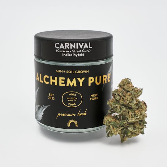 Alchemy Pure - Carnival 3.5g jar - 1