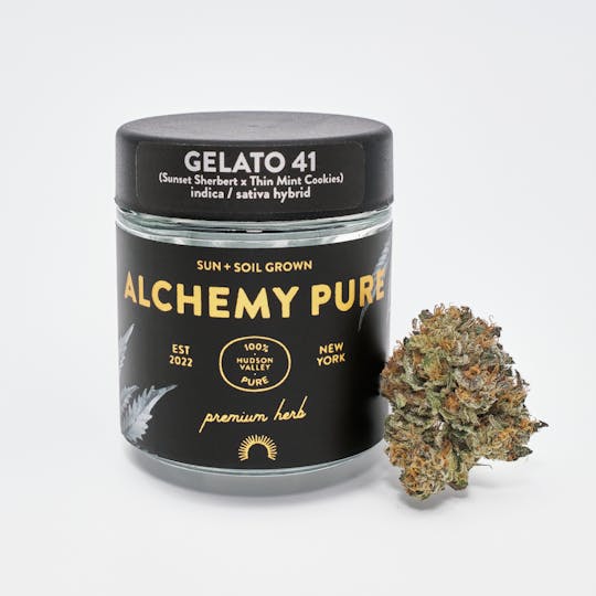 Alchemy Pure - Gelato 41 3.5g Jar - 1