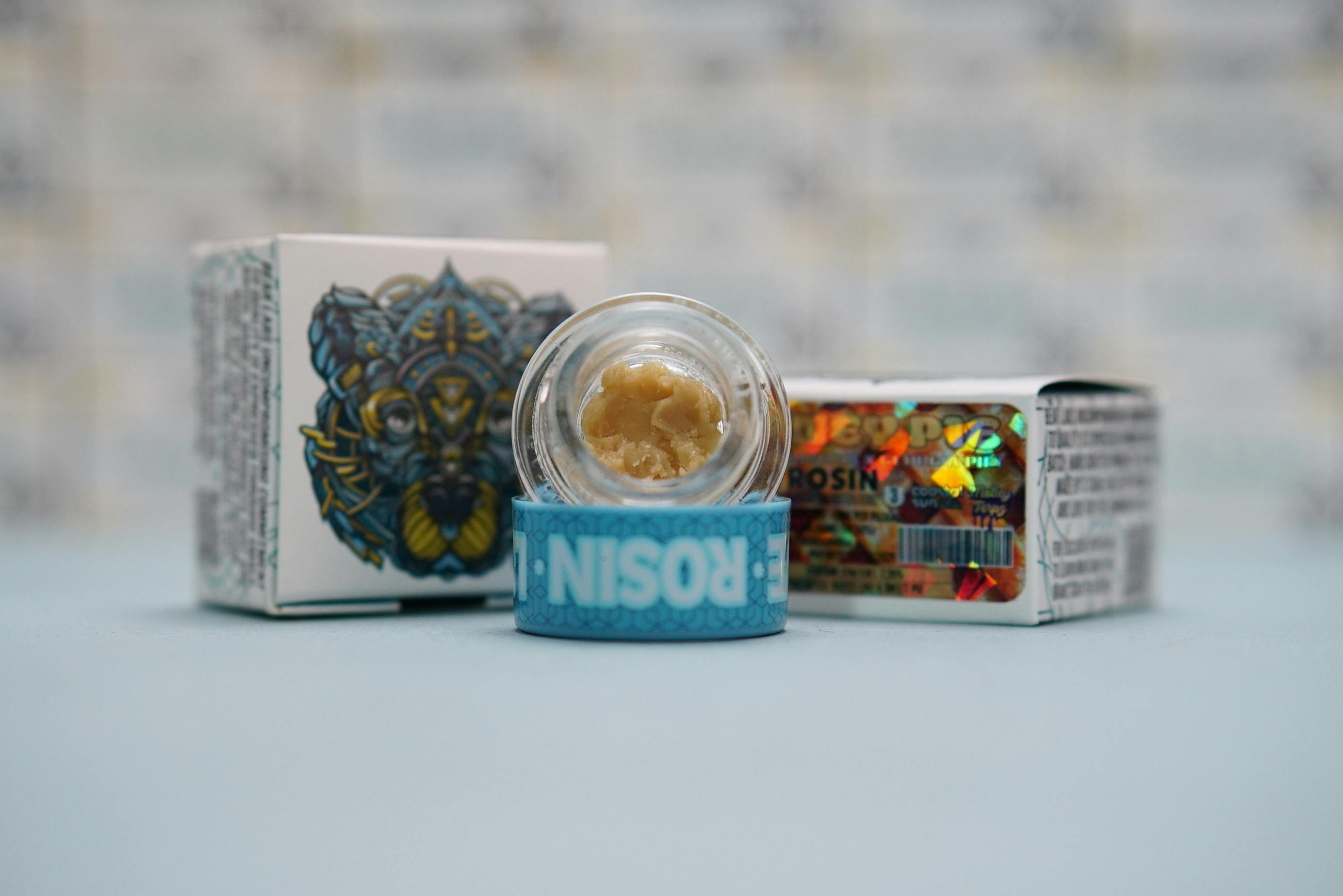 Bear Labs - BEAR Labs - Honey Pie - Rosin Tier 3 - 1
