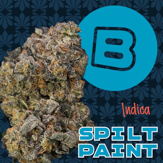Buckeye - Spilt Paint | Flower | 14.15 - 1