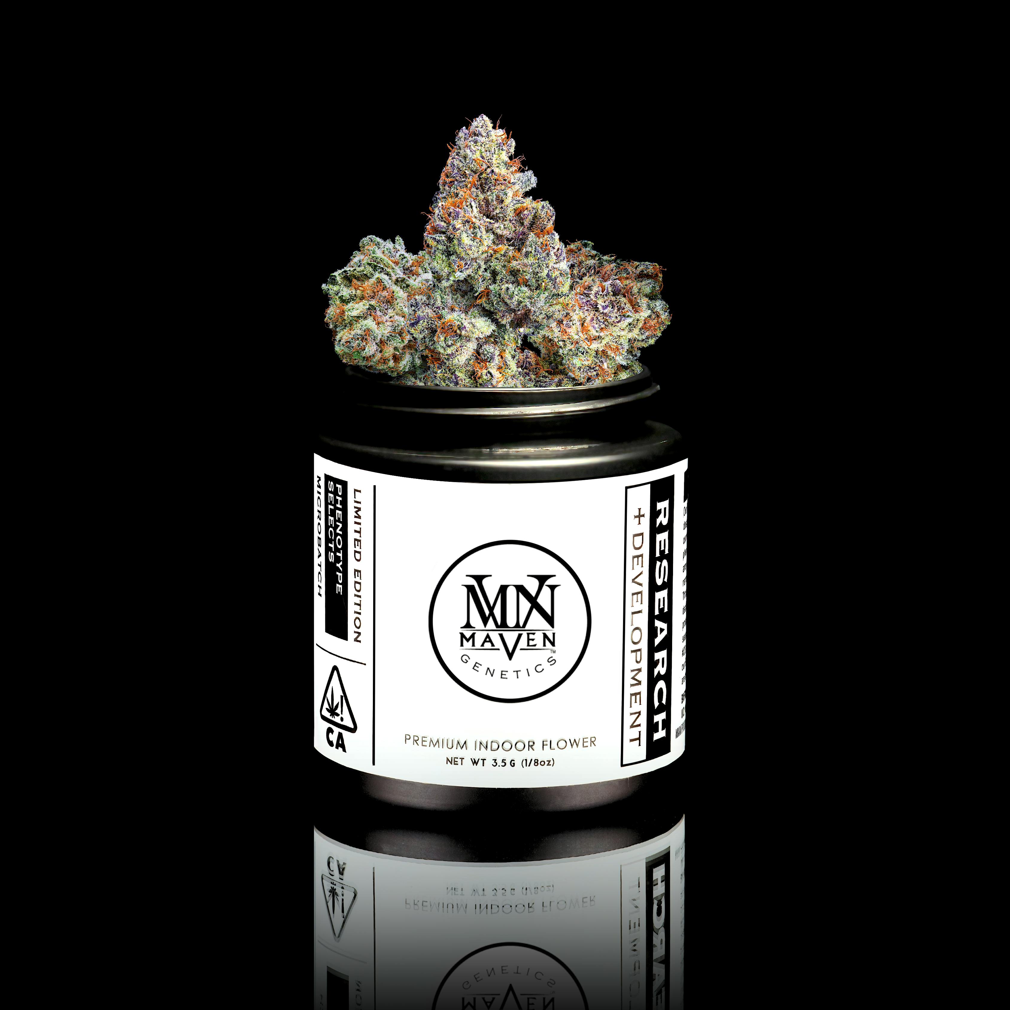 ❀UZU❀ Yuzu Mac x Blueberry Zkz #14 - Maven Genetics