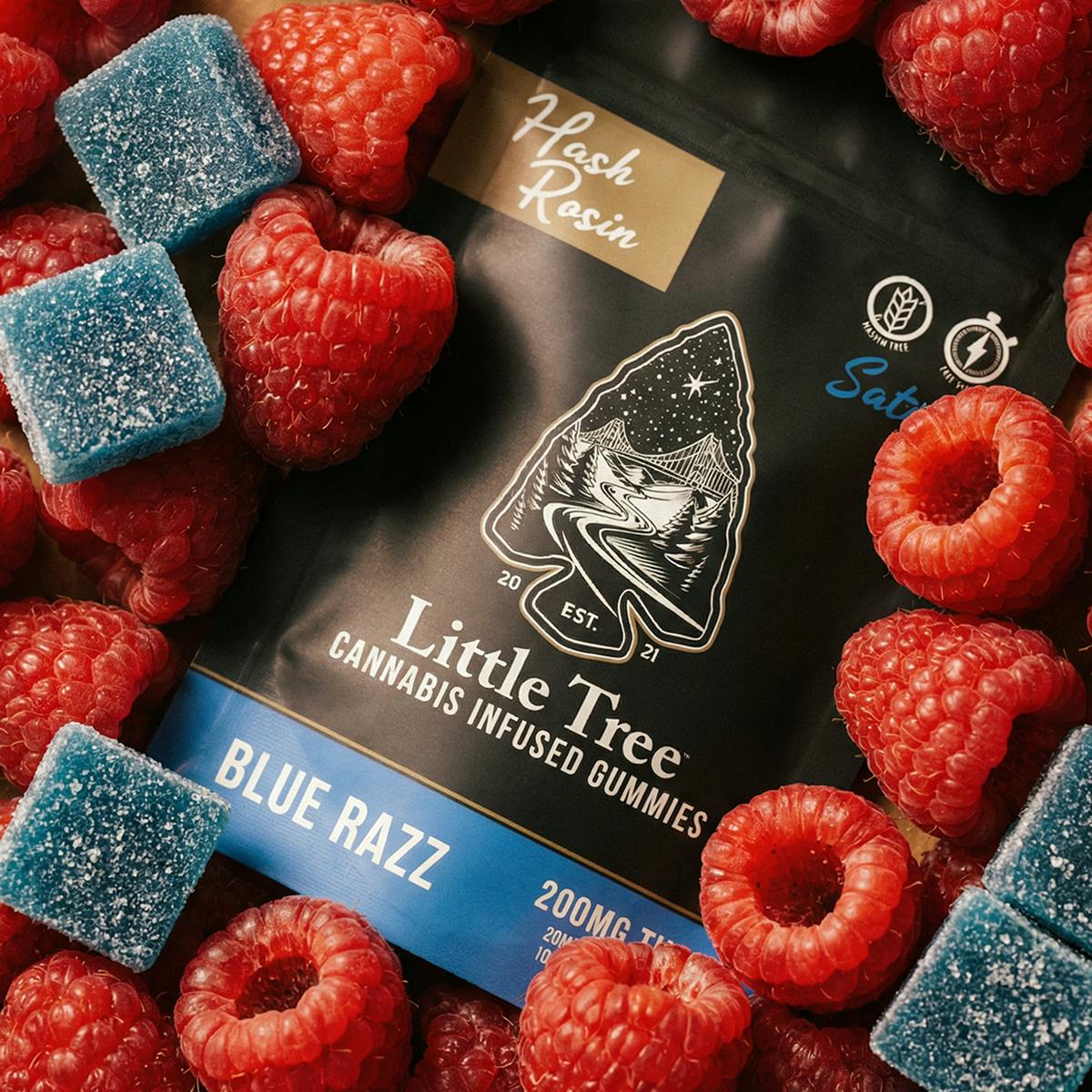 Little Tree - Little Tree Blue Razz Hash Rosin Gummies – 200MG - 1