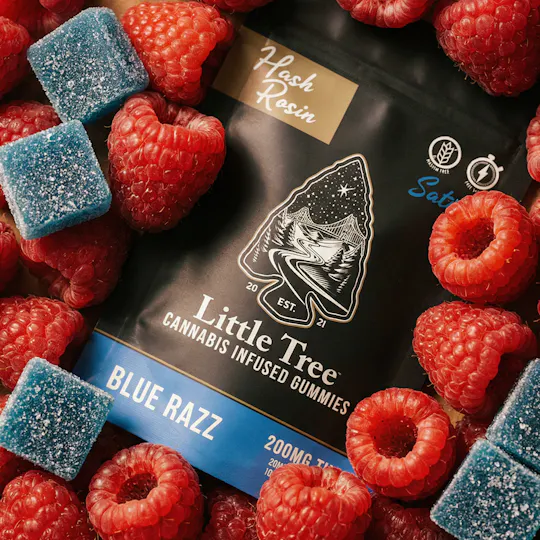 Little Tree - Little Tree Blue Razz Hash Rosin Gummies – 200MG - 1